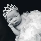 Business 10 image SWEET CAROLINA PHOTOGRAPHY in Brooklyn NY