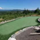 Business 4 image SYNTHETIC TURF NORTHWEST, LLC Landscape Contractors in Woodinville WA