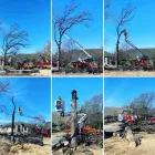 Business 3 image T & M TREE SERVICE Tree Surgeon in Broken Arrow OK