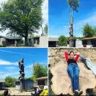 Business 4 image T & M TREE SERVICE Tree Surgeon in Broken Arrow OK