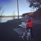 Business 6 image TAILS N’ TRAILS, LLC. Pet Sitter in Pawtucket RI