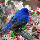Business 1 image TARIQ KHAN TAILER in Brooklyn NY