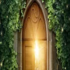 Business 4 image TAROT CARDS FOR SALE Psychics Astrologers in Chicago IL