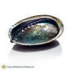 Business 1 image TAROT CARDS FOR SALE Psychics Astrologers in Chicago IL