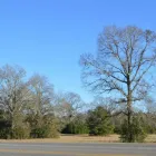Business 4 image TEAM LINDA SIMMONS REAL ESTATE Real Estate Agents in Enterprise AL