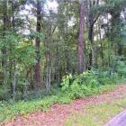 Business 16 image TEAM LINDA SIMMONS REAL ESTATE Real Estate Agents in Enterprise AL