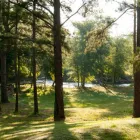 Business 21 image TEAM LINDA SIMMONS REAL ESTATE Real Estate Agents in Enterprise AL