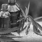 Business 2 image TELELEAF MEDICAL MARIJUANA CARDS & DOCTORS ONLINE - MISSOURI CLINIC Medical Service Organizations in St Louis MO