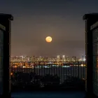 Business 8 image TENANT PLANET - SAN JOSE PROPERTY MANAGEMENT in San Jose CA