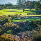 Business 3 image TERRAVITA GOLF AND COUNTRY CLUB Sports Clubs in Scottsdale AZ