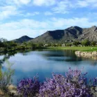 Business 29 image TERRAVITA GOLF AND COUNTRY CLUB Sports Clubs in Scottsdale AZ
