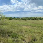 Business 1 image TEXAS ACRES Real Estate in Huntsville TX