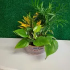 Business 1 image TEXAS ELITE FLORAL AND GARDEN COMPANY Party & Event Planners in Houston TX