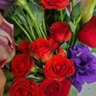 Business 9 image TEXAS ELITE FLORAL AND GARDEN COMPANY Party & Event Planners in Houston TX