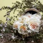 Business 11 image TEXAS ELITE FLORAL AND GARDEN COMPANY Party & Event Planners in Houston TX