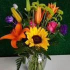 Business 19 image TEXAS ELITE FLORAL AND GARDEN COMPANY Party & Event Planners in Houston TX
