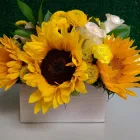 Business 57 image TEXAS ELITE FLORAL AND GARDEN COMPANY Party & Event Planners in Houston TX