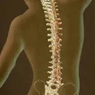 Business 1 image TEXAS INTERGRATIVE PAIN INSTITUTE - GREENSPOINT Weight Loss Center in Houston TX