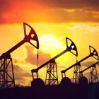 Business 2 image TEXAS MINERAL GROUP in Houston TX