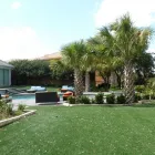 Business 5 image TEXAS PALM TREES AND IRRIGATION LLC Plant Nurseries & Garden Centers in Dallas TX