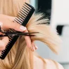 Business 1 image THE BEND in Webster Groves MO