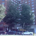 Business 1 image THE CARLYLE Real Estate Rental Service in Baltimore MD