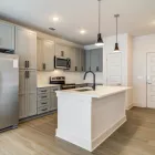 Business 15 image THE COLLINS Real Estate Services in Huntsville AL