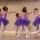 Business 2 image THE DANCESOURCE Dancing Instruction in Rego Park NY