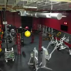 Business 2 image THE DOCTORS OF PHYSICAL THERAPY Physical Therapy Clinics in Scottsdale AZ