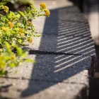 Business 3 image THE ECHELON OF TUCSON in Tucson AZ