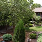 Business 9 image THE ECHELON OF TUCSON in Tucson AZ