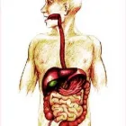 Business 7 image THE GET WELL CENTER Smoking Cessation Services in Scottsdale AZ