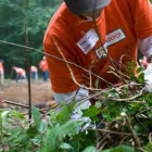 Business 8 image THE HOME DEPOT Tools & Hardware in Evansville IN