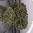 Business 4 image THE HONEYHOLE DISPENSARY Marijuana PreRolls in Oklahoma City OK