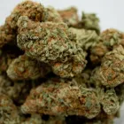 Business 6 image THE HONEYHOLE DISPENSARY Marijuana PreRolls in Oklahoma City OK