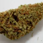 Business 11 image THE HONEYHOLE DISPENSARY Marijuana PreRolls in Oklahoma City OK