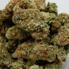 Business 13 image THE HONEYHOLE DISPENSARY Marijuana PreRolls in Oklahoma City OK