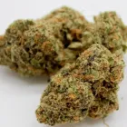 Business 14 image THE HONEYHOLE DISPENSARY Marijuana PreRolls in Oklahoma City OK