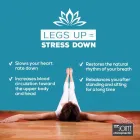 Business 1 image THE JOINT CHIROPRACTIC Health & Medicine in San Jose CA