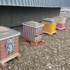 Business 9 image THE LINCOLN MARRIOTT CORNHUSKER HOTEL Wedding Venues in Lincoln NE