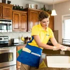 Business 2 image THE MAIDS Interior Cleaning Services in Seekonk MA