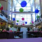 Business 9 image THE PARTY CONCIERGE Party & Event Planners in Sacramento CA