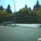 Business 1 image THE PET STOPS HERE Dog Day Care in Bellevue WA