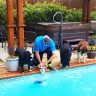 Business 3 image THE POOL LADY Pool Cleaning Service in Fort Worth TX