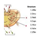 Business 5 image THE PROSTATE SEED INSTITUTE Cancer Treatment Centers in Irving TX
