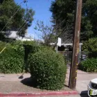 Business 1 image THE RENAISSANCE SCHOOL Schools in Oakland CA