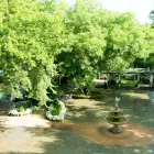 Business 2 image THE SANFORD HOUSE INN & SPA Brunch in Arlington TX