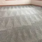 Business 1 image THE STEAM MASTER FLORIDA LLC Carpet & Rug Cleaners in Deltona FL