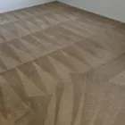 Business 3 image THE STEAM MASTER FLORIDA LLC Carpet & Rug Cleaners in Deltona FL