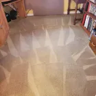 Business 5 image THE STEAM MASTER FLORIDA LLC Carpet & Rug Cleaners in Deltona FL